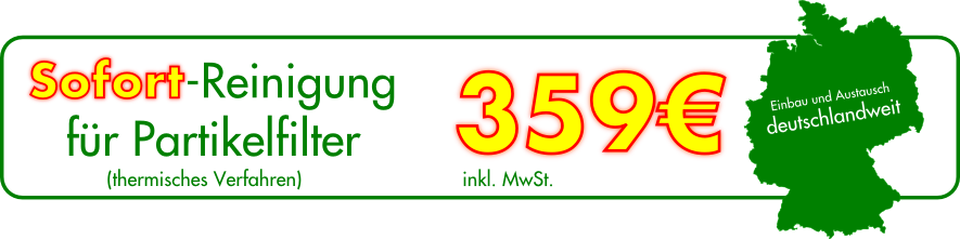 PKW Filterreinigung